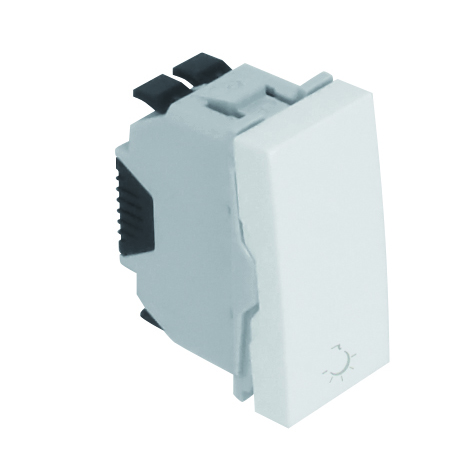 Rocker Push-Button with Lamp symbol - 1 Module